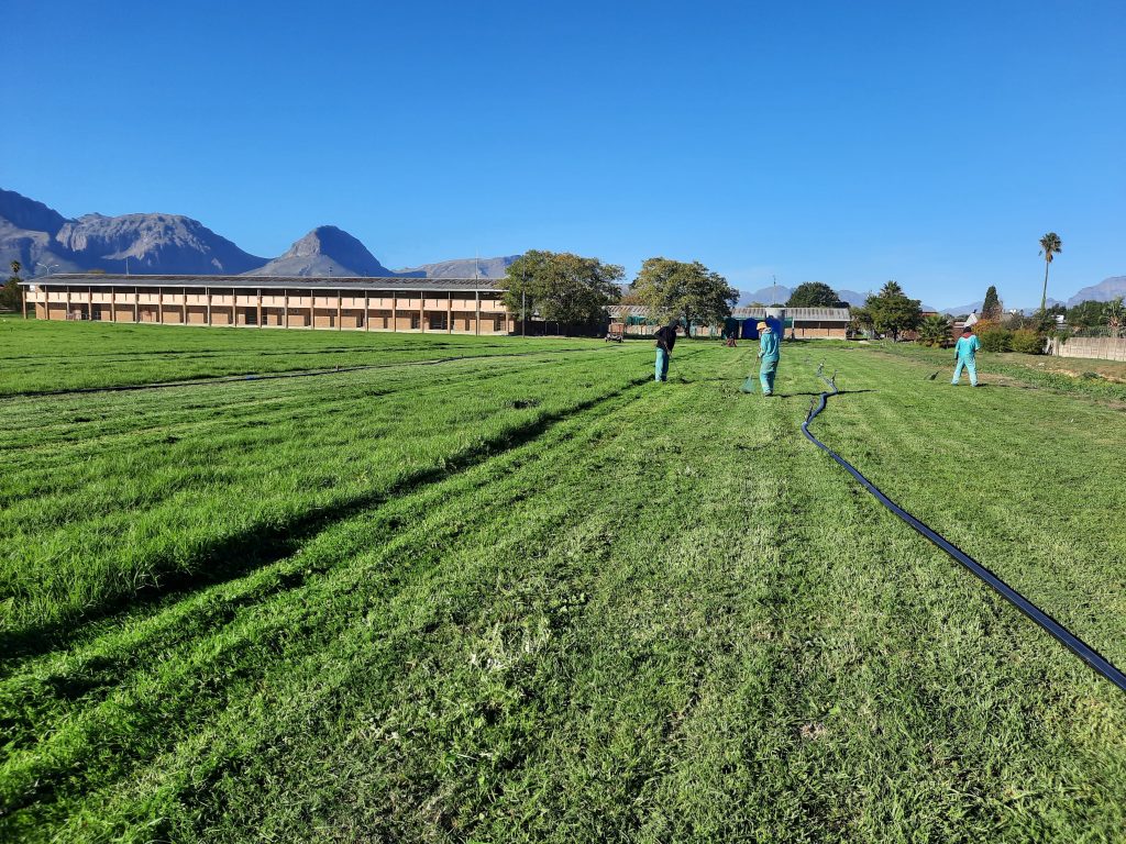 Sportfield Maintenance