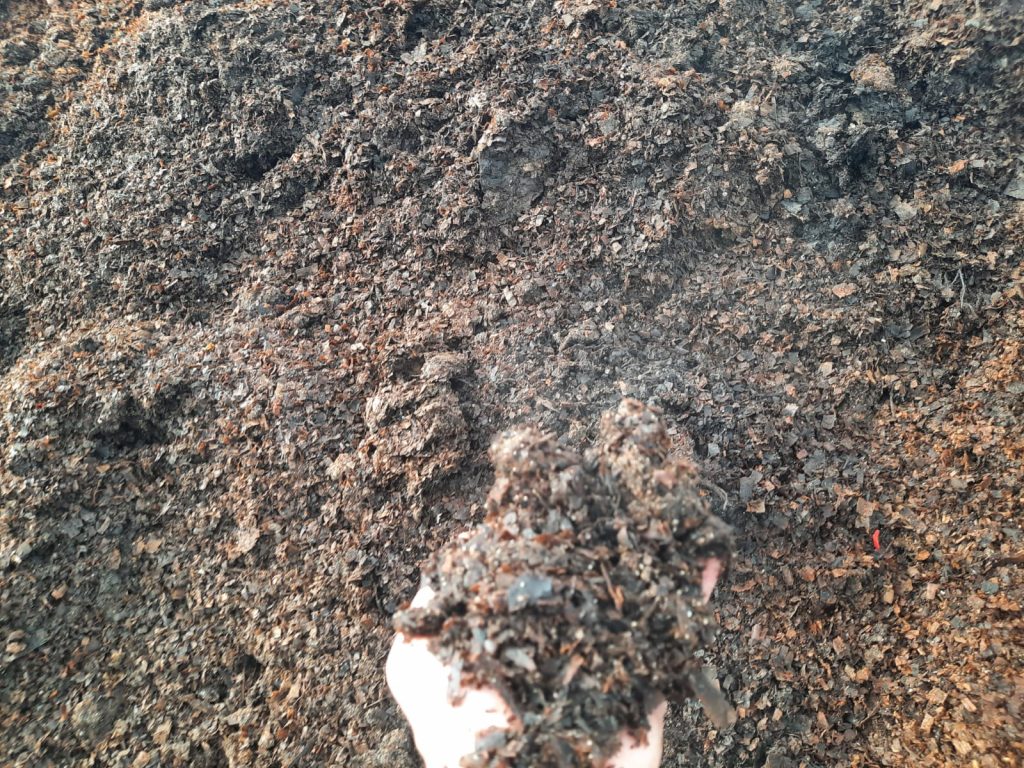 Texture of Fine Compost