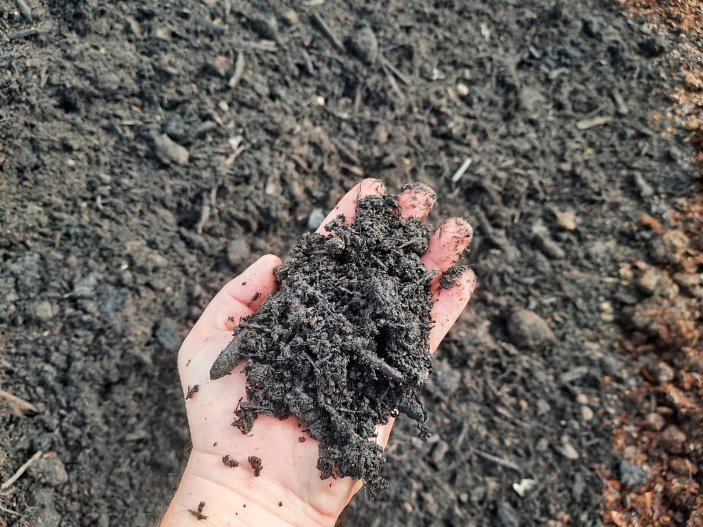 Texture of Medium Compost