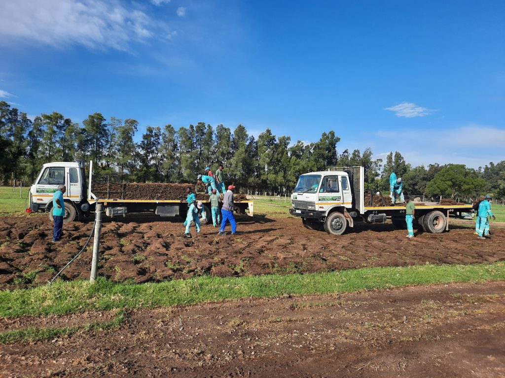 Loading roll on lawn